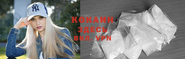 гашик Богданович
