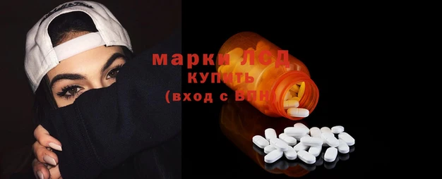 гашик Богданович